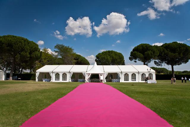 Girl's Night Out Girl's Night Out