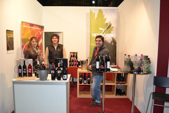 CATAVINS 2012, EXPERIENCIA VINOSCOPIO CATAVINS 2012, EXPERIENCIA VINOSCOPIO