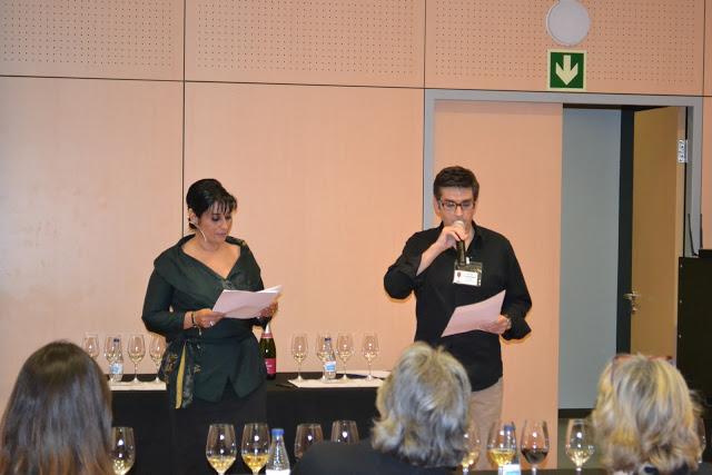 CATAVINS 2012, EXPERIENCIA VINOSCOPIO CATAVINS 2012, EXPERIENCIA VINOSCOPIO