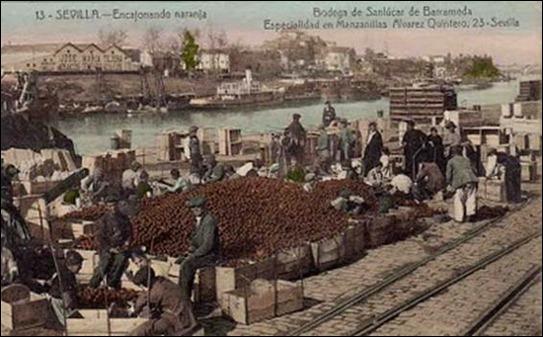 clip_image026 clip_image026