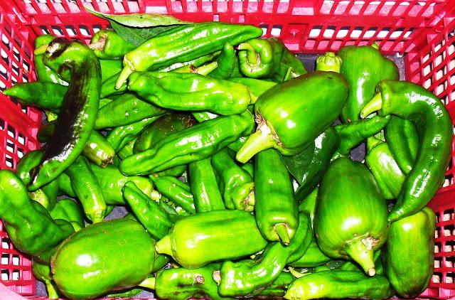 RECETARIO BASICO................(Pimientos).- RECETARIO BASICO................(Pimientos).-