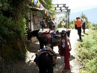 Existe en lugar...existe Bhutan!