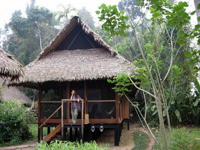 Mas sobre Selvas. Amazonas peruano Mas sobre Selvas. Amazonas peruano