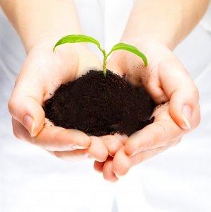 LA SABIDURÍA DE LA SEMILLA, UN CAMINO A SER NOSOTROS MISMOS LA SABIDURÍA DE LA SEMILLA, UN CAMINO A SER NOSOTROS MISMOS