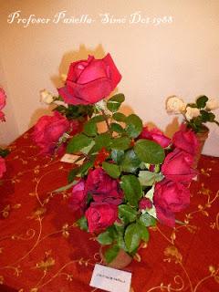 Roses a la tardor (III): algunas rosas de la familia Dot Roses a la tardor (III): algunas rosas de la familia Dot
