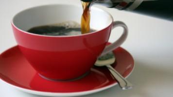 Posible extinción del café para fines de este siglo 20121122144013-120328131345-cafe-304x171-other-nocredit.jpg