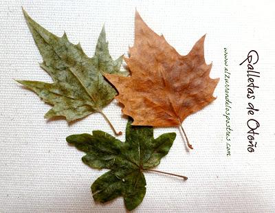 Galletas Hojas de Otoño Galletas Hojas de Otoño