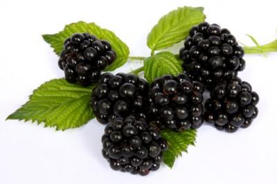 moras Alimentos que mejoran la memoria