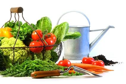 Fresh vegetables with watering can Prevención de enfermedades relacionadas con la nutrición