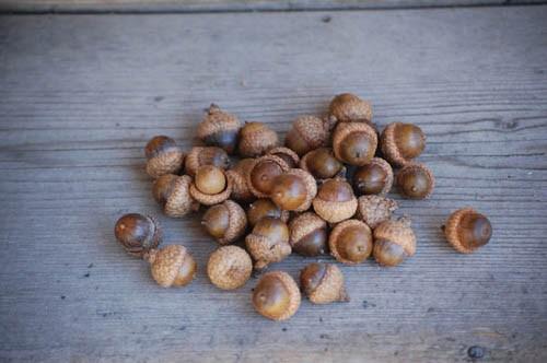 il_570xN.369529467_td1s NAVIDAD EN ETSY