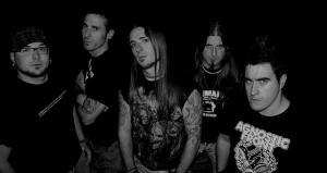 ALIMAÑA ALIMAÑA: ELIGE TEMA PARA SU VIDEOCLIP