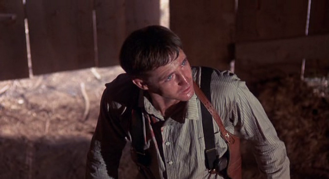 The Grisson gang The Grisson gang