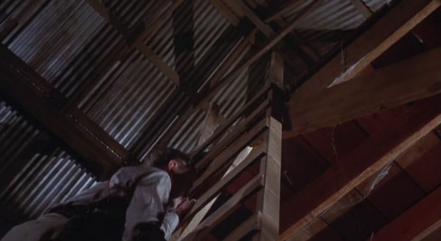 The Grisson gang The Grisson gang