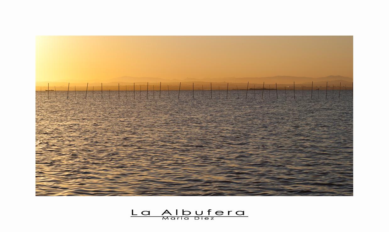 La Albufera