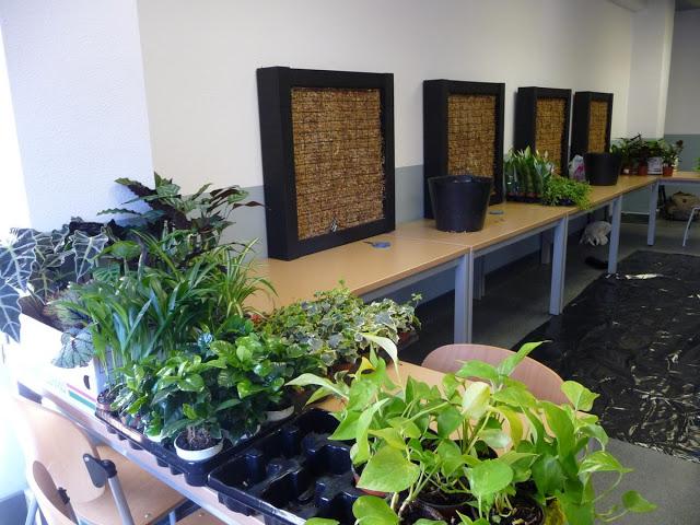 Imágenes del curso de jardines verticales en Madrid. Noviembre de 2012. Curso de jardines verticales.