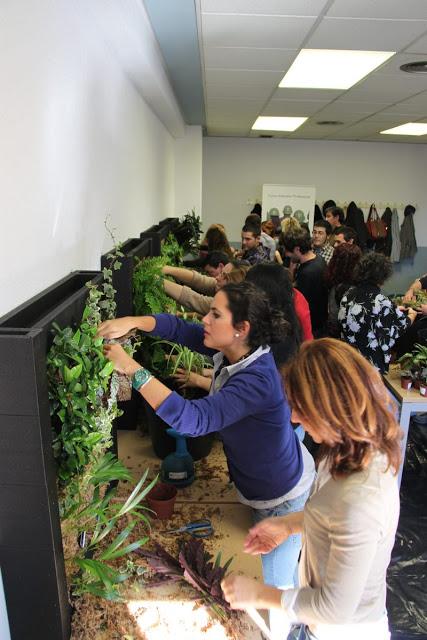 Imágenes del curso de jardines verticales en Madrid. Noviembre de 2012. Curso de jardines verticales.