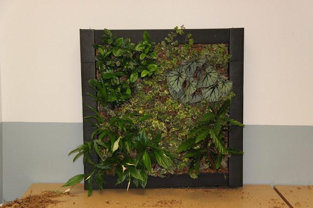 Imágenes del curso de jardines verticales en Madrid. Noviembre de 2012. Imágenes del curso de jardines verticales en Madrid. Noviembre de 2012.