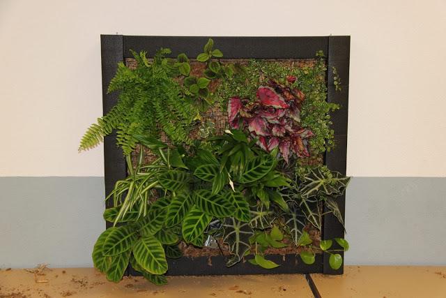 Imágenes del curso de jardines verticales en Madrid. Noviembre de 2012. Imágenes del curso de jardines verticales en Madrid. Noviembre de 2012.