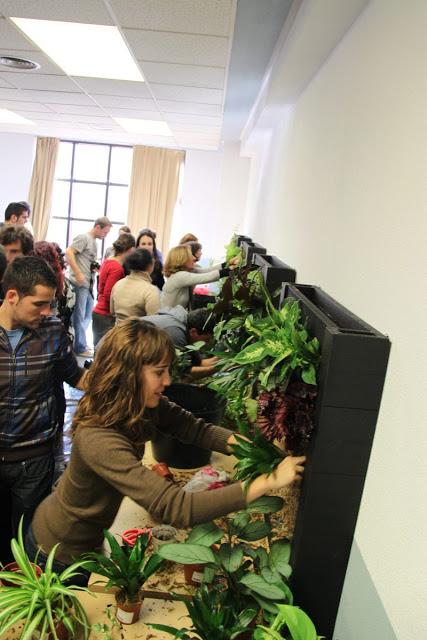 Imágenes del curso de jardines verticales en Madrid. Noviembre de 2012. Curso de jardines verticales