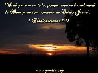 ¿La voluntad de Dios? ¿La voluntad de Dios?