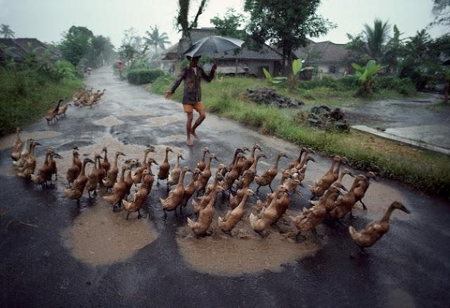 Right as Rain - Steve McCurry Right as Rain - Steve McCurry