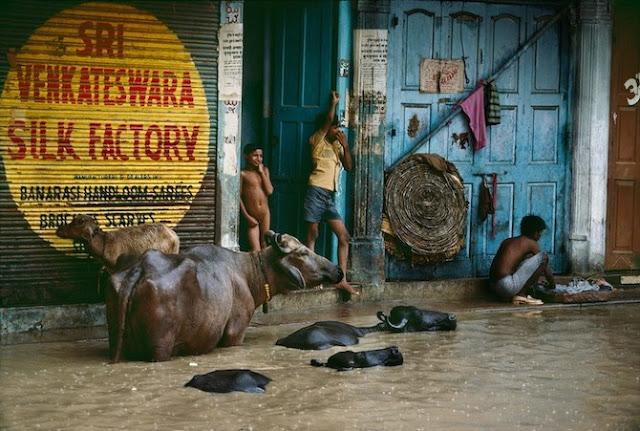 Right as Rain - Steve McCurry Right as Rain - Steve McCurry