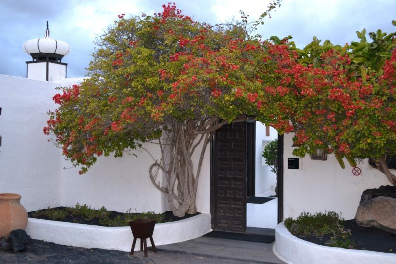 I have my own 2.55 Bag !! I_have_my_own_2.55_Bag_!!