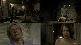 7 imágenes, 7 series (CXXXII) 7 imágenes, 7 series (CXXXII)