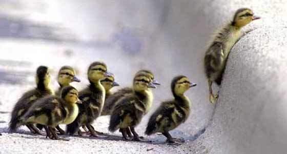 superacion El espíritu de superación está en uno mismo