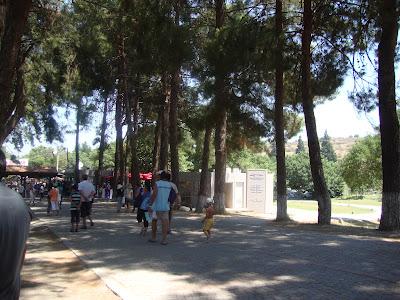 Visita a Efeso  y  Casa de la Virgen Maria (Selcuk)