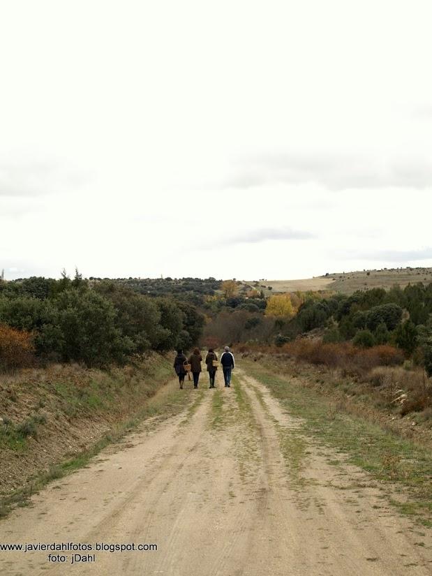 DE PASEO HACIA LA COCINA