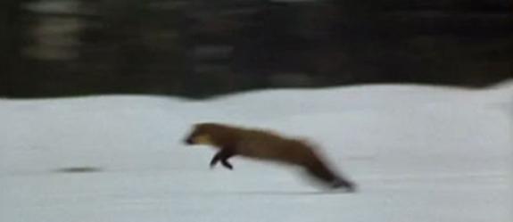 Este Cine es Nuestro: El gusto de ver patinar Este Cine es Nuestro: El gusto de ver patinar