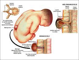 VITAMINAS (II): LA IMPORTANCIA DE LOS VITAL VITAMINAS (II): LA IMPORTANCIA DE LOS VITAL