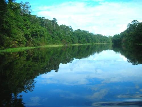 A partir de hoy el mundo verá el rostro de toda la Amazonía