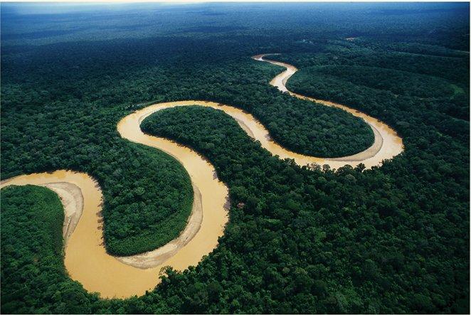 A partir de hoy el mundo verá el rostro de toda la Amazonía