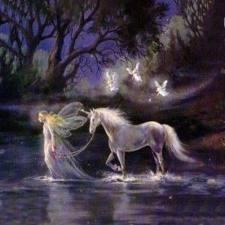 frases de nofler frases de nofler