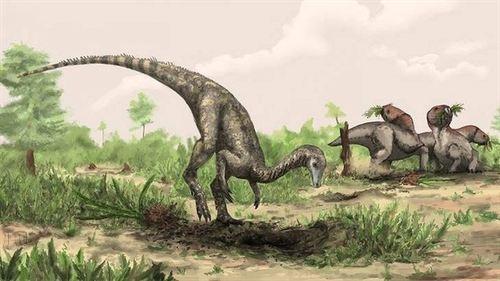 Nya Nyasasaurus, ¿de dónde has salido?