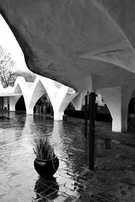 Delicias con Invitación: La Magnética Expresión de Claudio Caveri Delicias con Invitación: La Magnética Expresión de Claudio Caveri