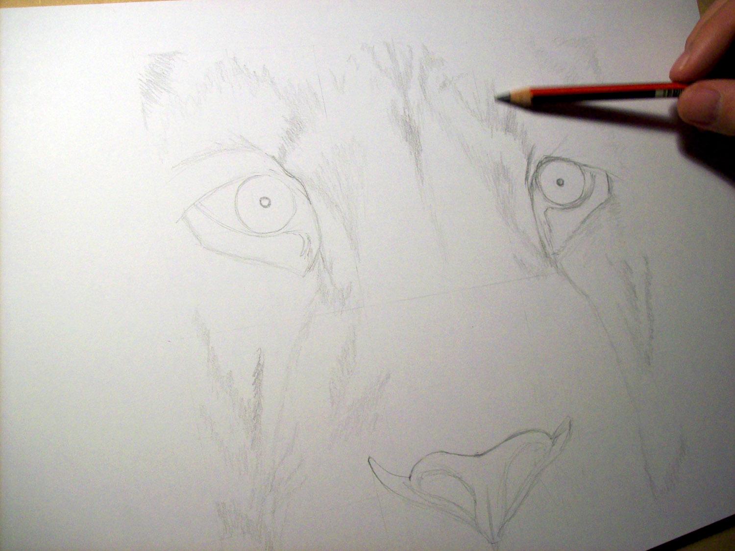 Ahora mismo: dibujando la de cara de un león /Right now: drawing the face of a lion
