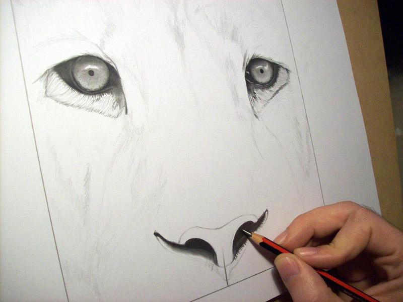 Dibujo de león terminado / Drawing of lion finished