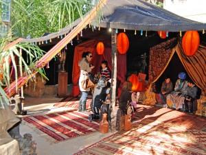 Bioparc Valencia prepara una Navidad muy especial Bioparc Valencia prepara una Navidad muy especial