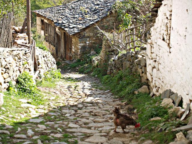 Bitola y alrededores: Heraclea Lyncestis y Parque Nacional Pelister