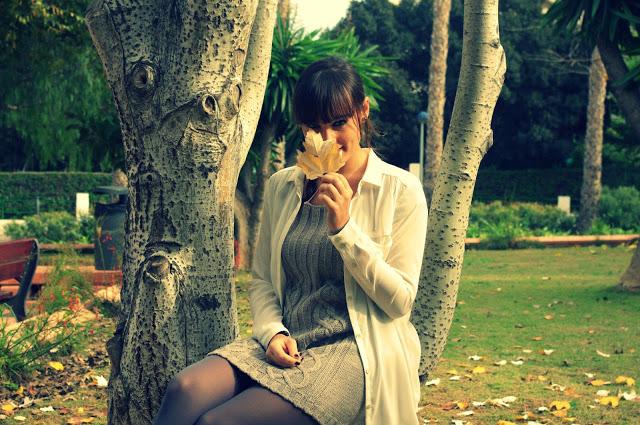 Los colores del otoño Los colores del otoño