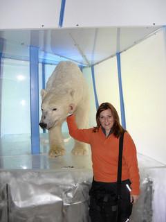 Descubriendo el museo Arktikum Descubriendo el museo Arktikum