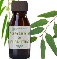 El aceite de eucalipto para aliviar el dolor