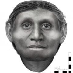 El rostro del “hobbit” Hobbit Homo Floresiensis COSMOS Science Magazine