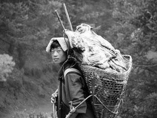 Igual es mejor idea no tener ideas Igual es mejor idea no tener ideas