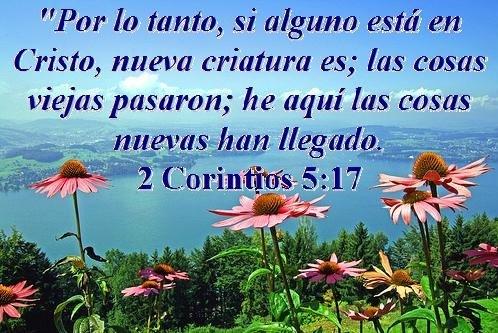 Vivir en la gracia Vivir en la gracia