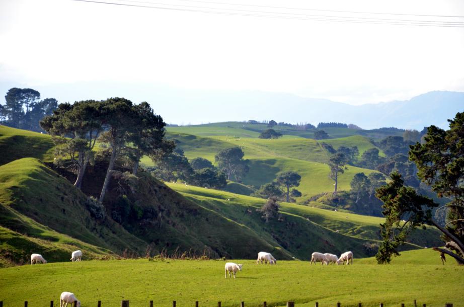 Bienvenidos a La Comarca Bienvenidos a La Comarca