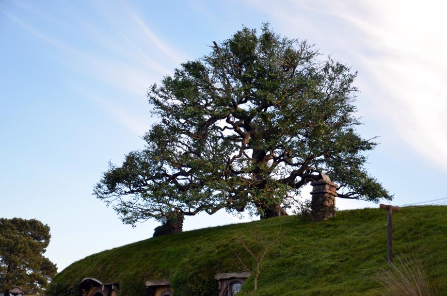 Bienvenidos a La Comarca Bienvenidos a La Comarca